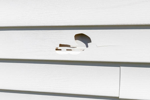 Professional Siding Services in Green Oaks, IL